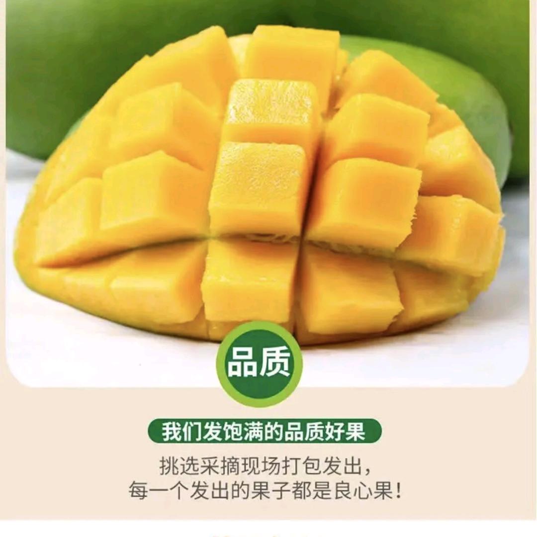 青荟水果甄选