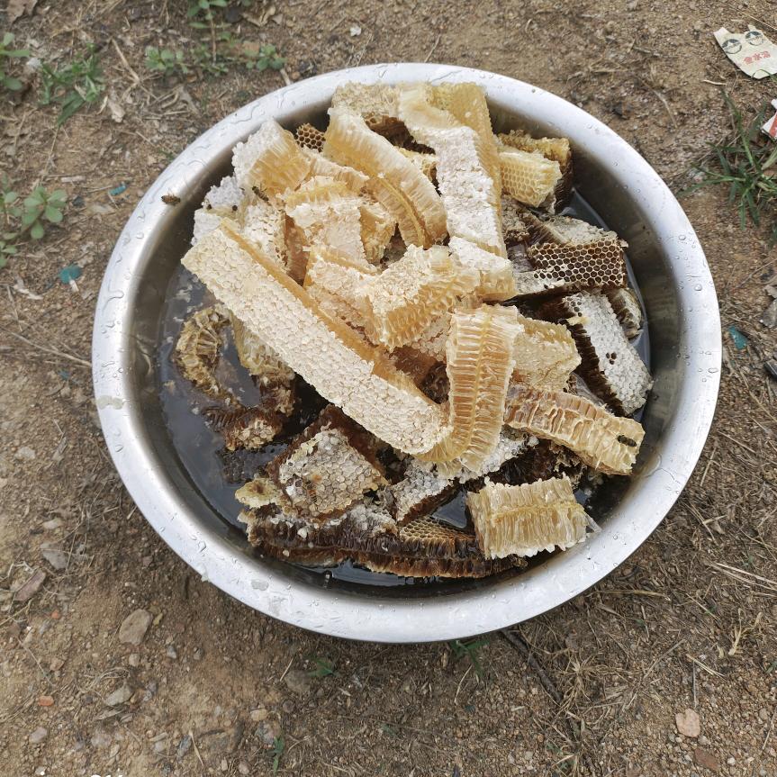 明君果品家庭农场