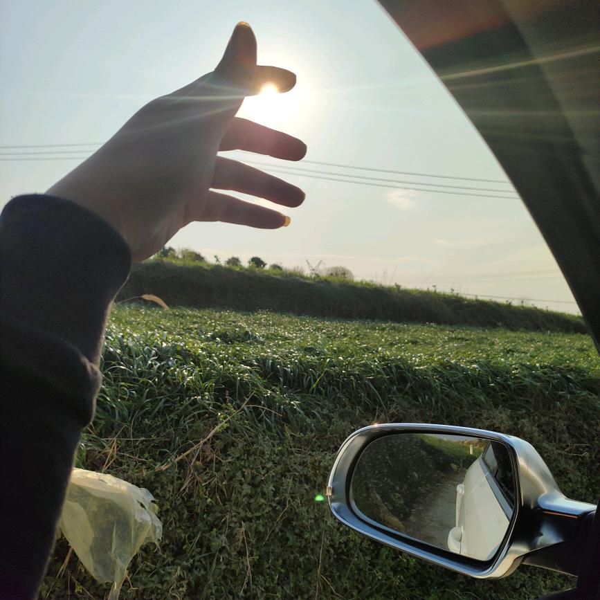 百事可乐不可口