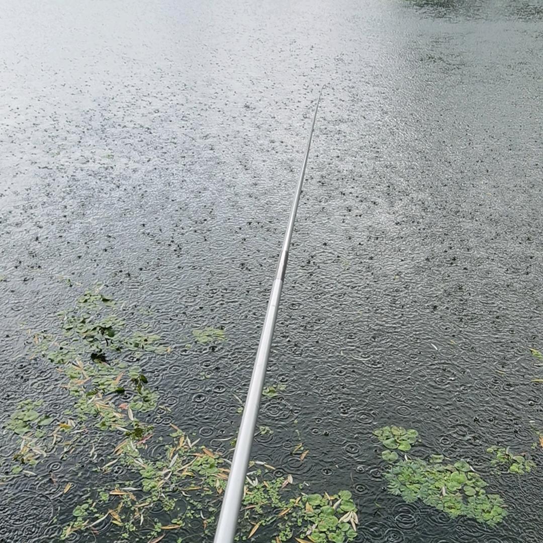 赵启飞