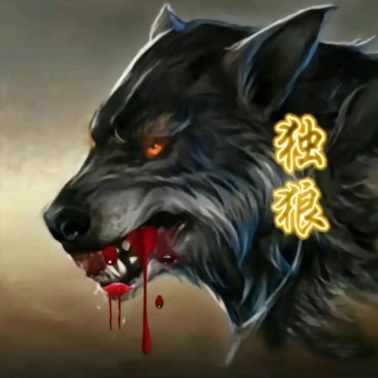 &᭄独狼ꦿྀ🐺