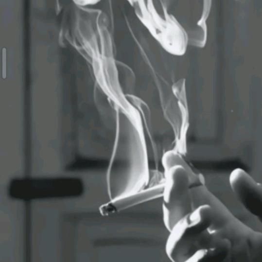自渡♬一念执着,万般无奈,