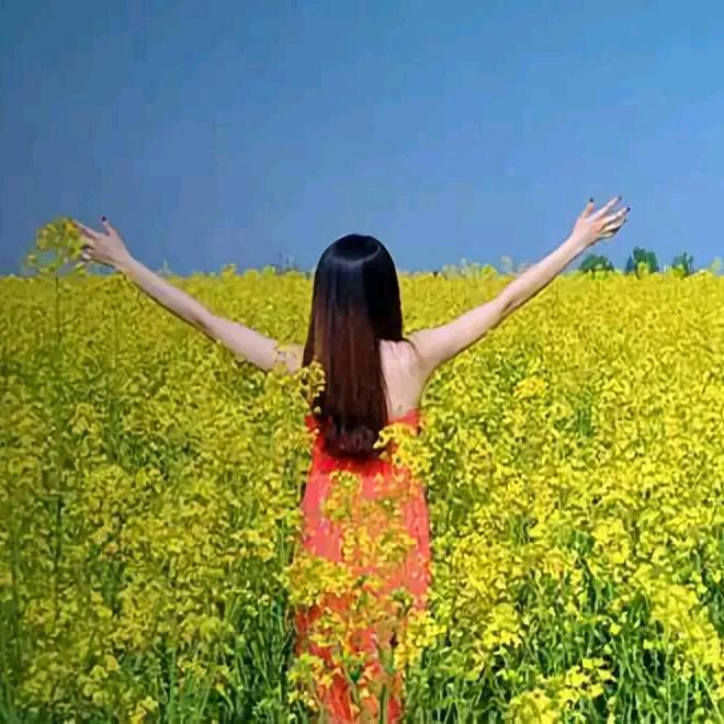 往后余生，封心锁爱