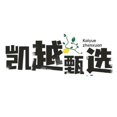 凯越甄选