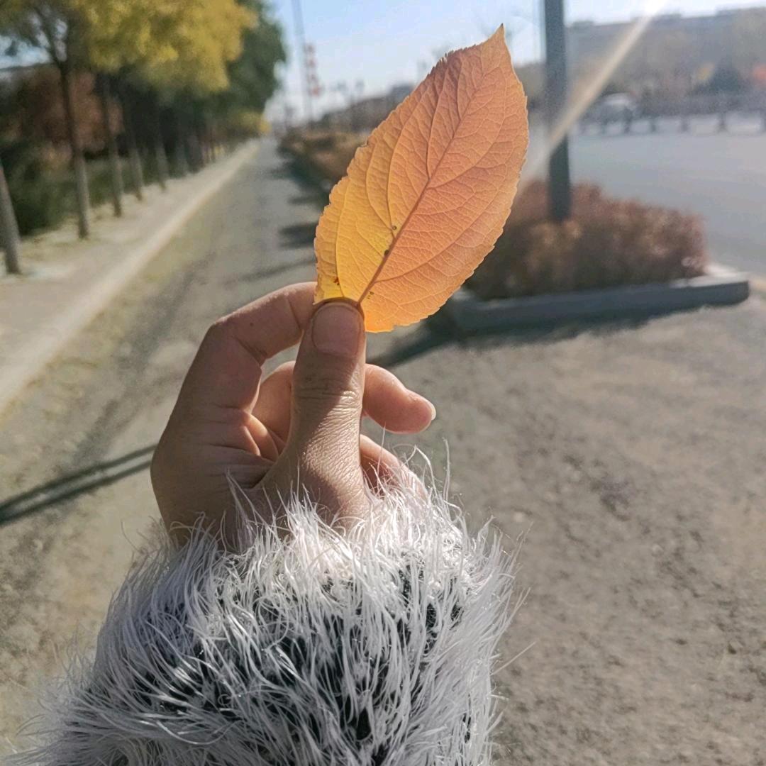 @丫头