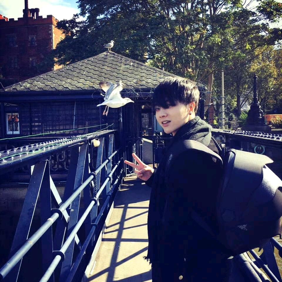 AAA建材宇哥（批发好价）