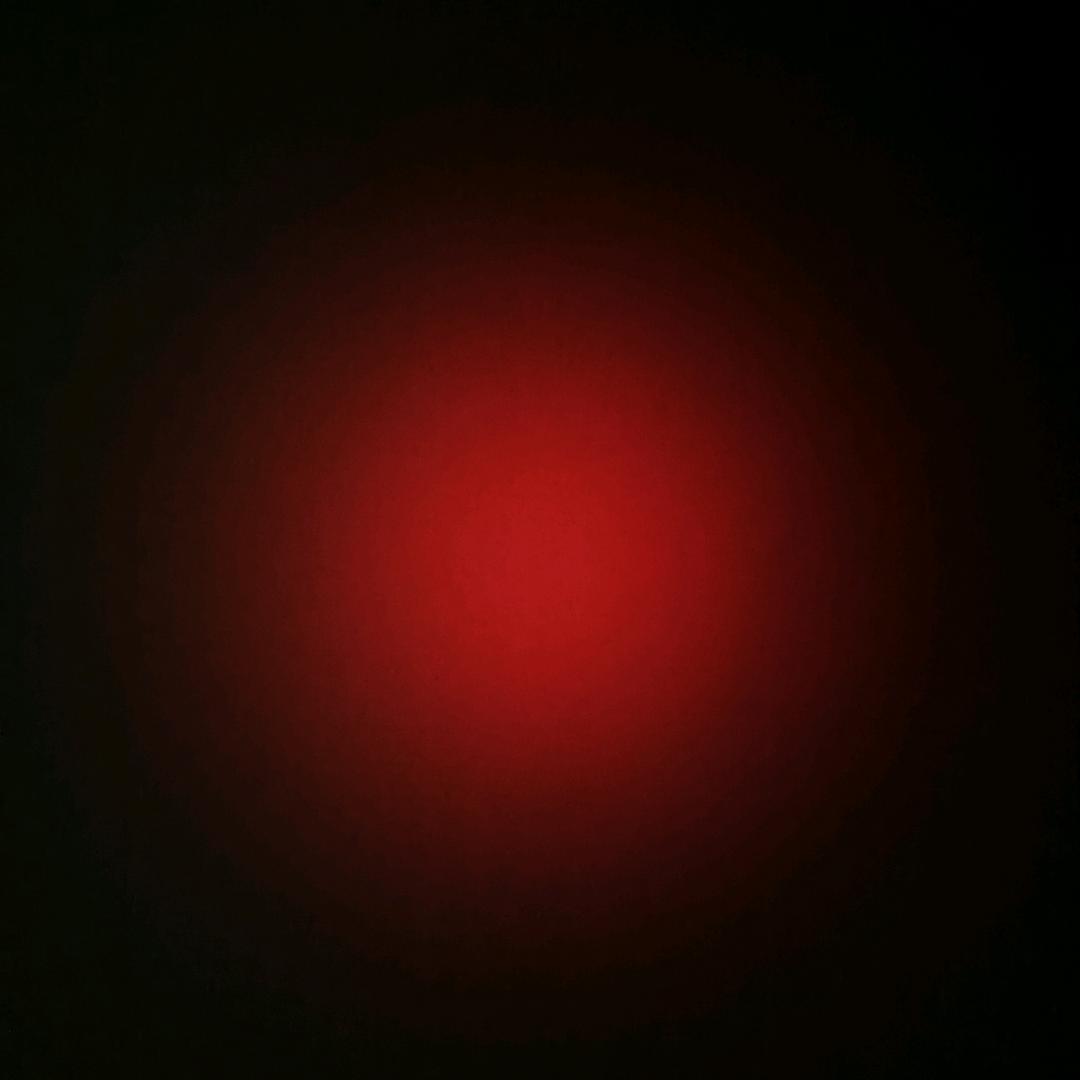 叽叽豹