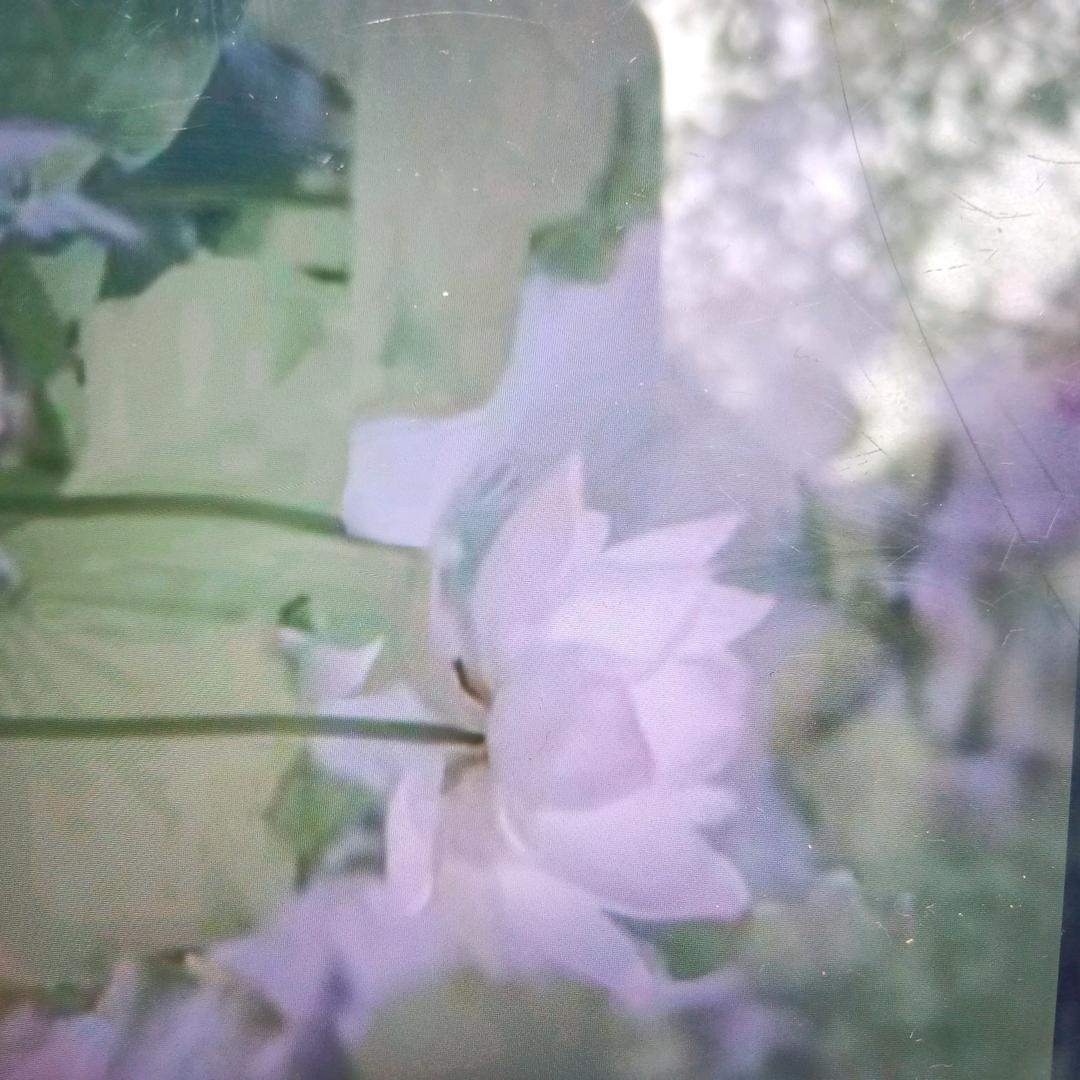 幸福的人
