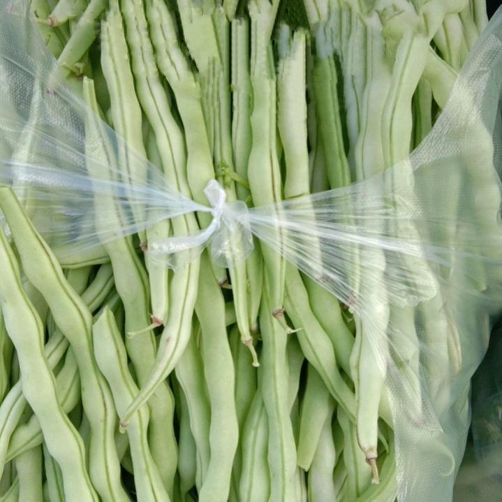 陵川平城镇豆角种植