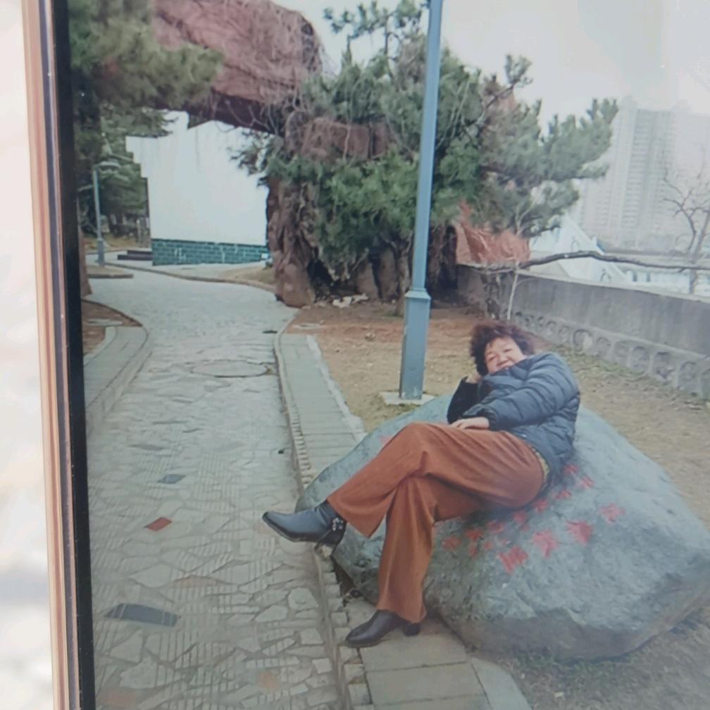莉莉
