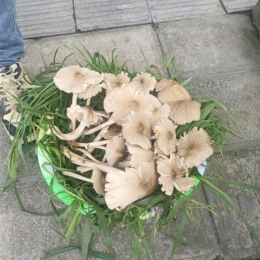 遵义市播州区高盈运输公司服务部