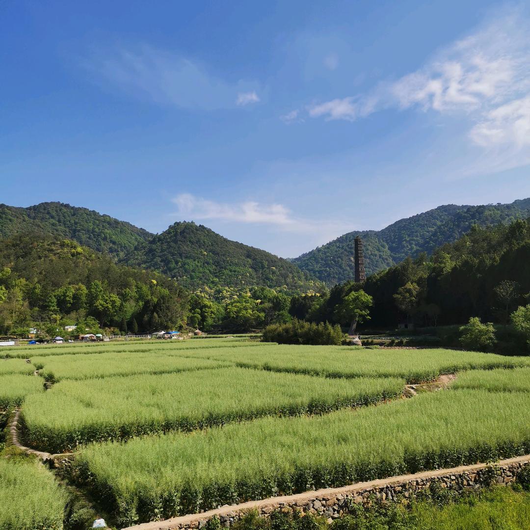 半生风景@世纪联华