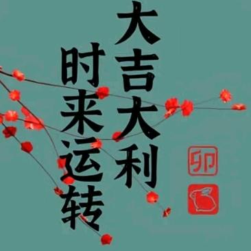 时来运转哥