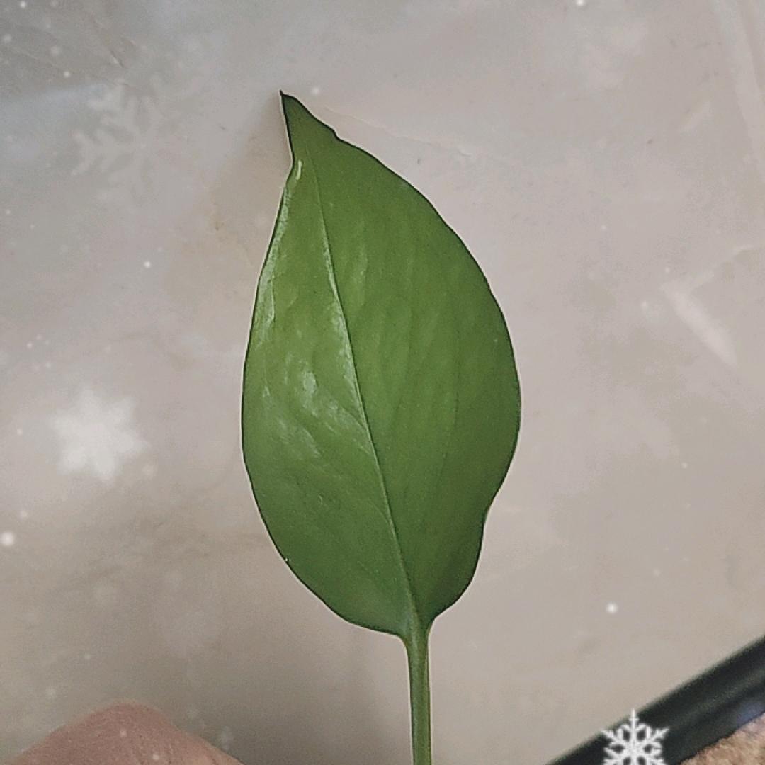 徐姐精品男装