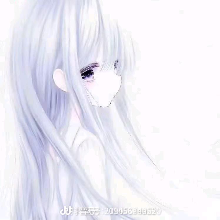 泽雪蝶.🦋