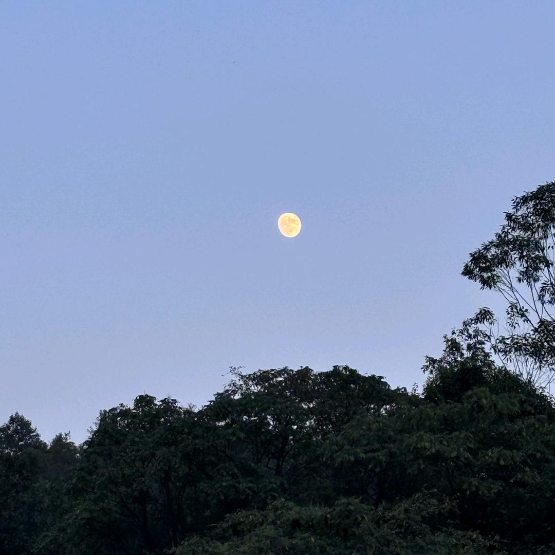 人间观月