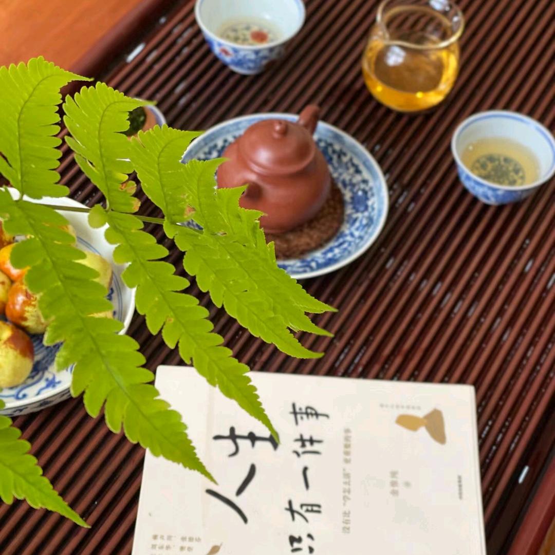 多米鑫❤️