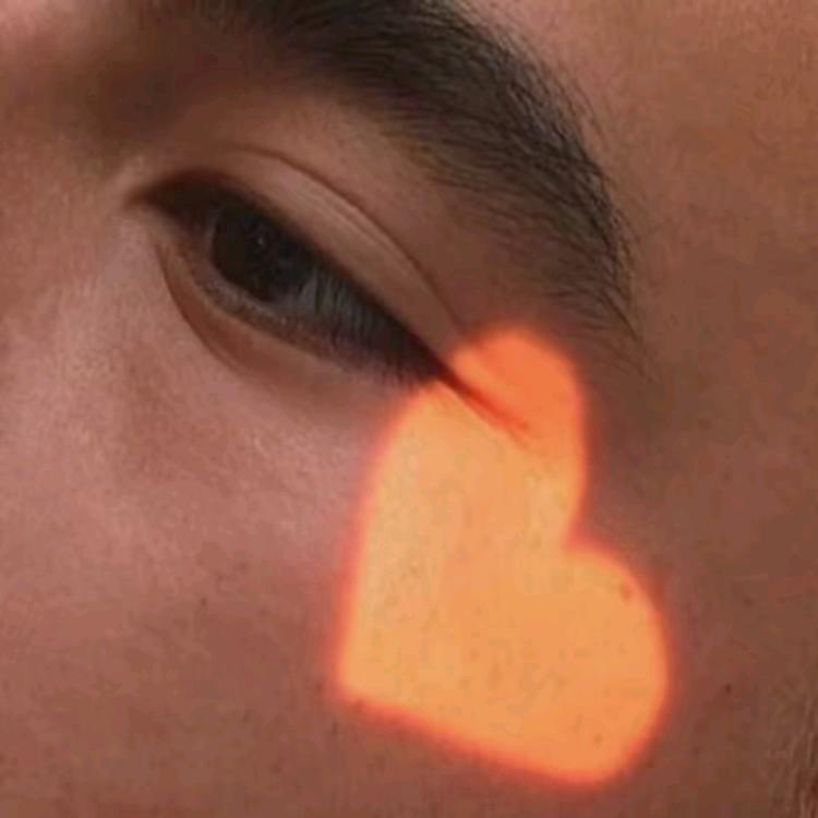 博Yf