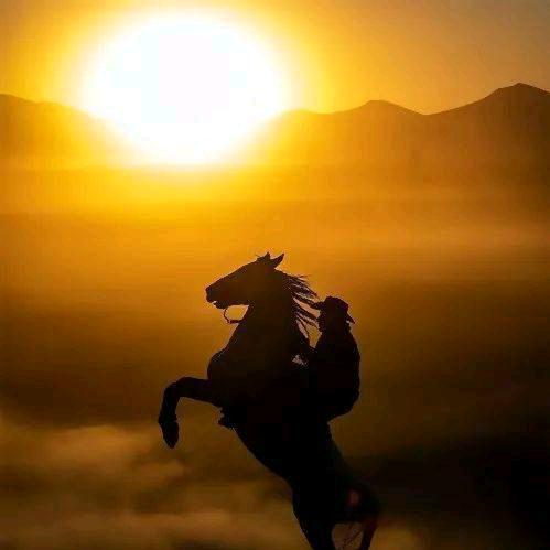 ♞神马皆浮云☁️