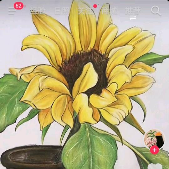 炫豆