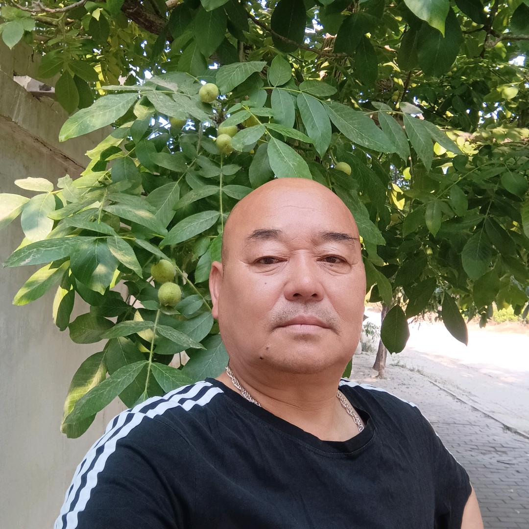 老高行（下午5点10分开播）