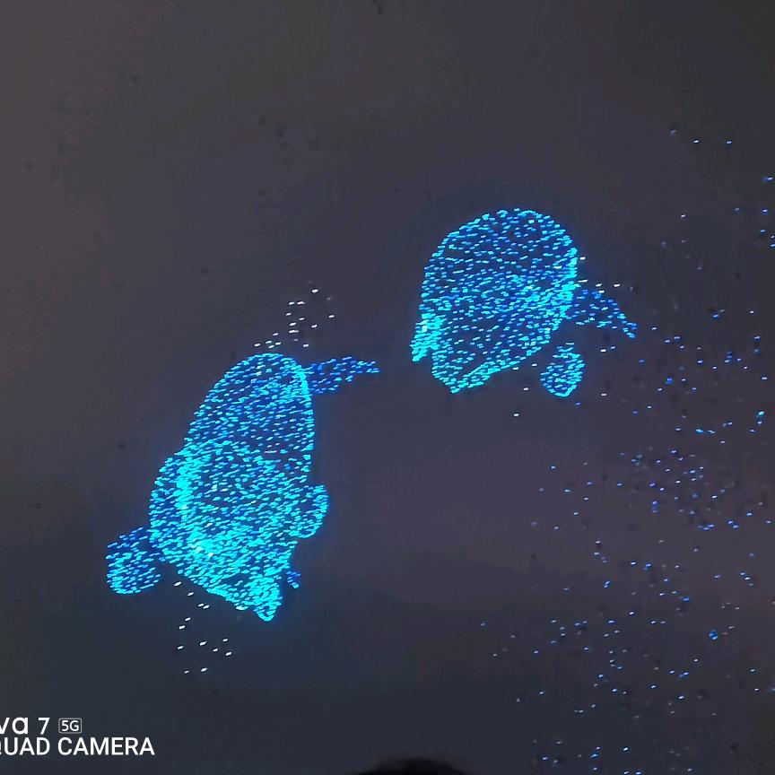 树根