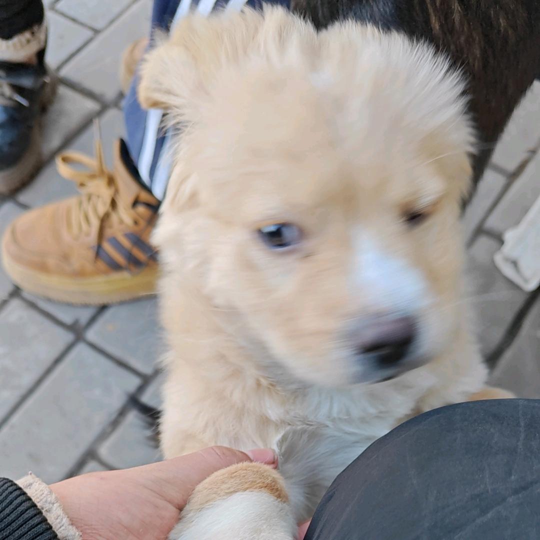 🌈我家欢欢🌈