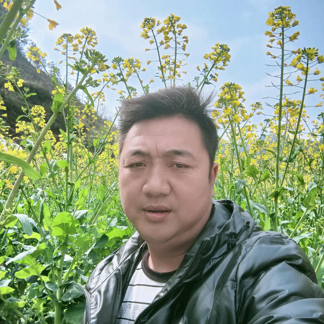 专业打路爬山王