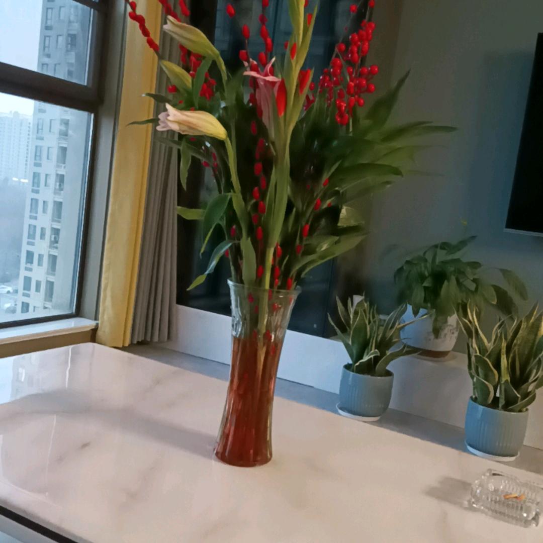 自由飞翔