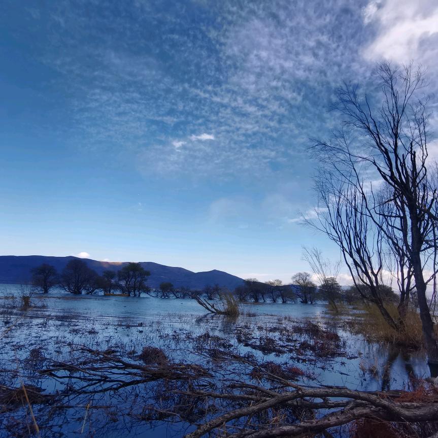 ↖黎明↗不会失约