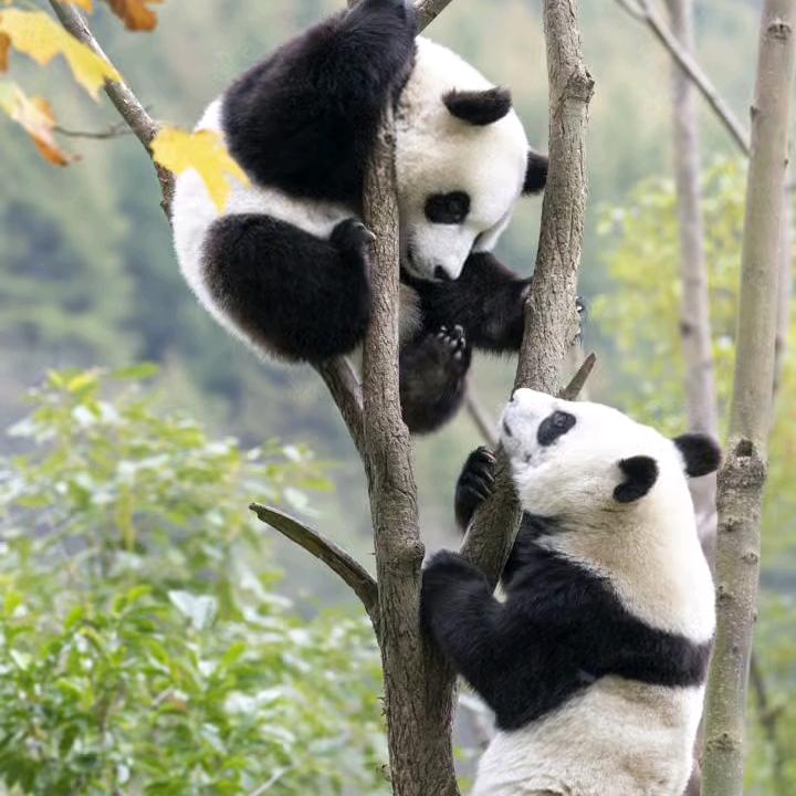 天地🚬之间