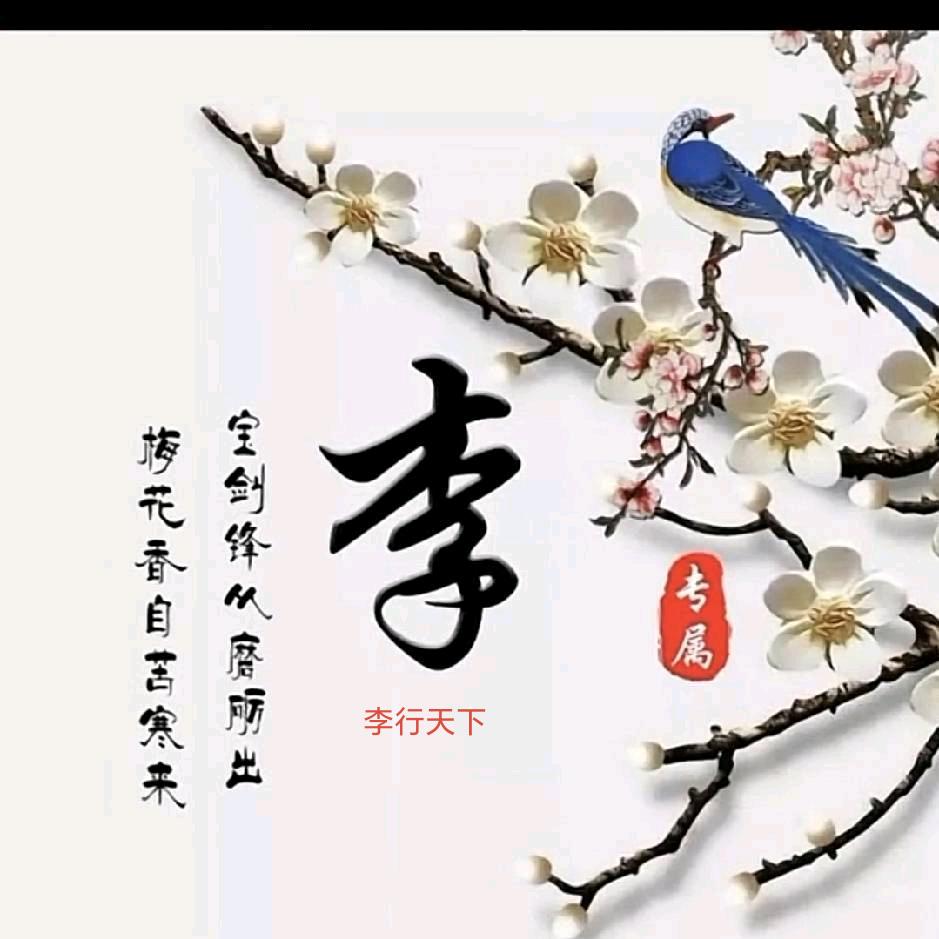 李行天下
