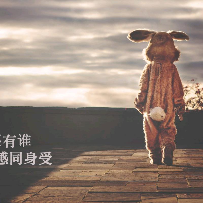 谁是我的依靠