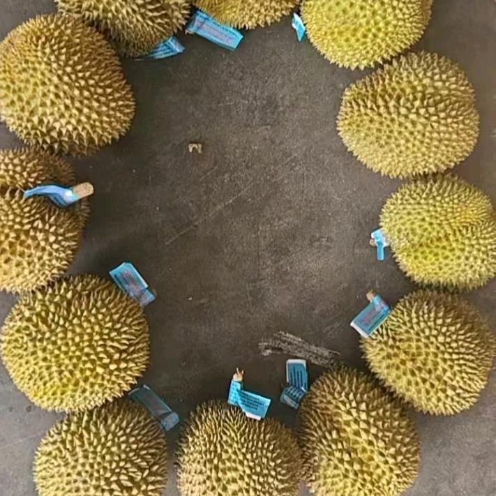 度锤子