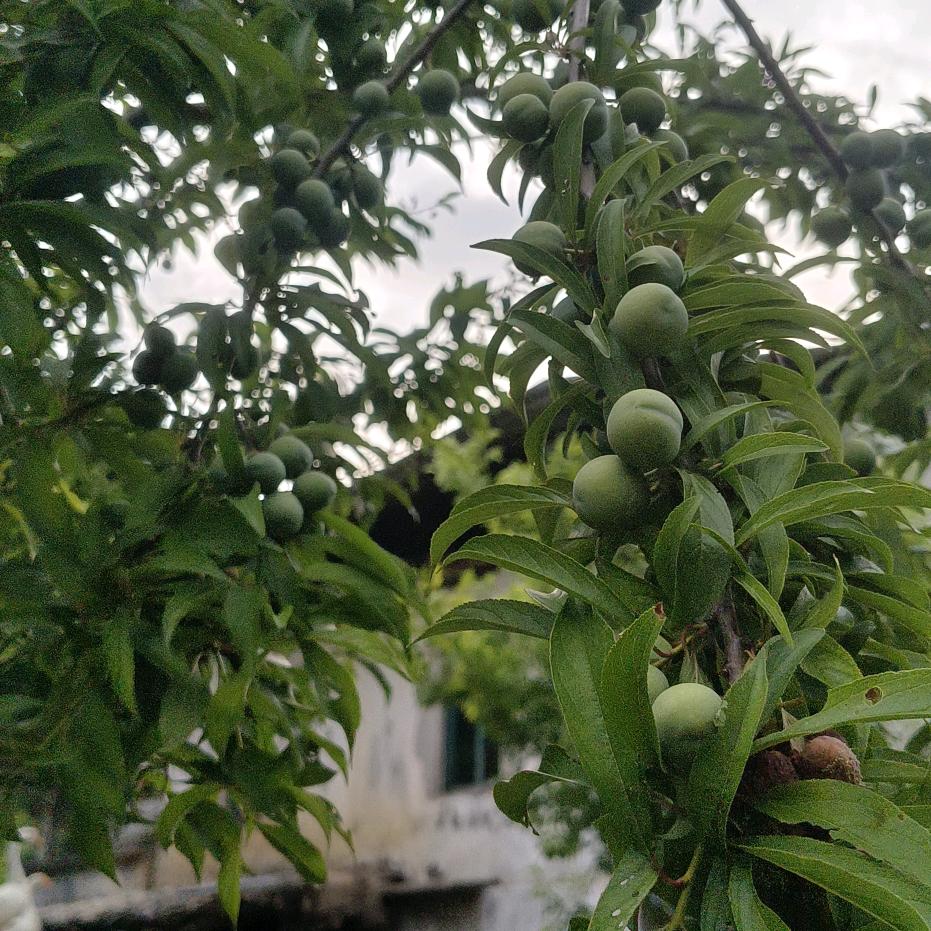 我就是我