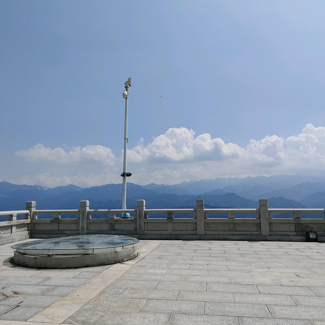 幸运鱼儿