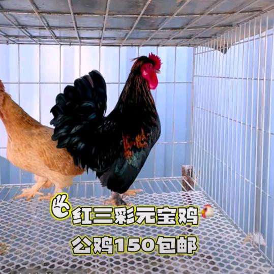 花开花落