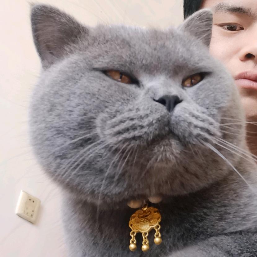 依এ念ꦿ᭄