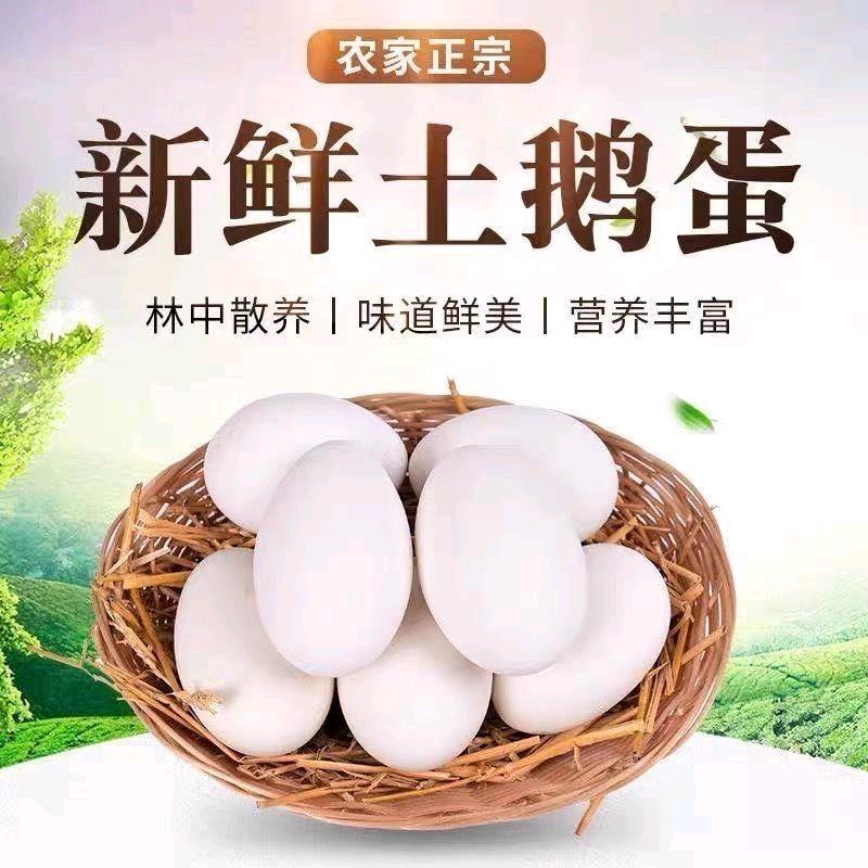 东北大白鹅🦢