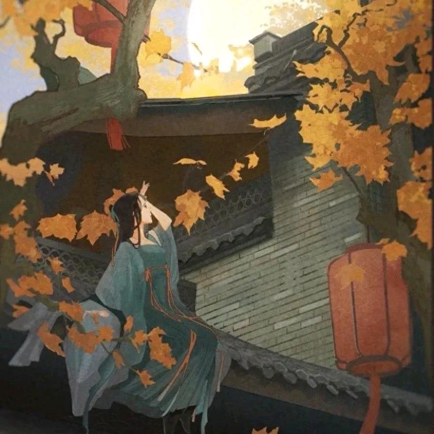 杜杜老师呀