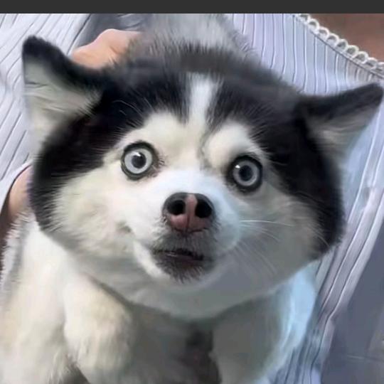 涟琏看