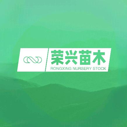 荣兴果树苗木