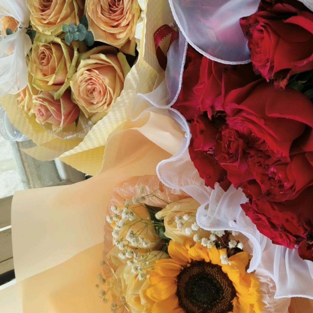 💕₅²⁰ 莹宝¹ᶟ₁₄