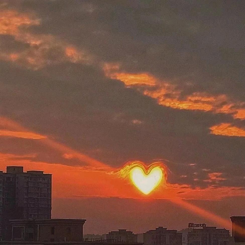 丽丽