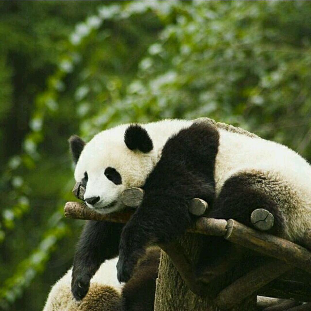 ↘７冄１２ㄖ↙~ ☯