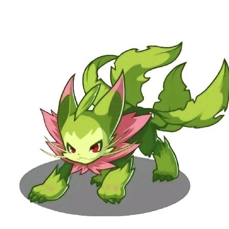 ROCO木槿