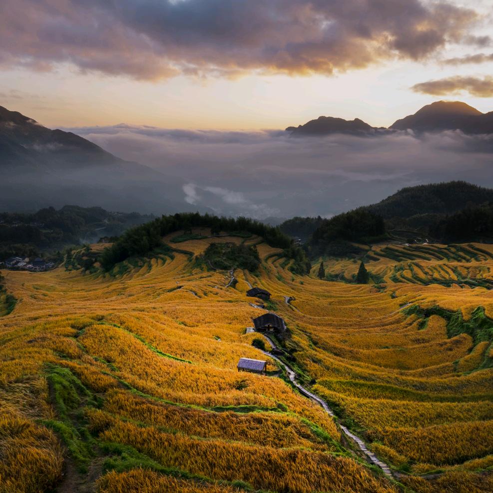 云和梯田保安天团