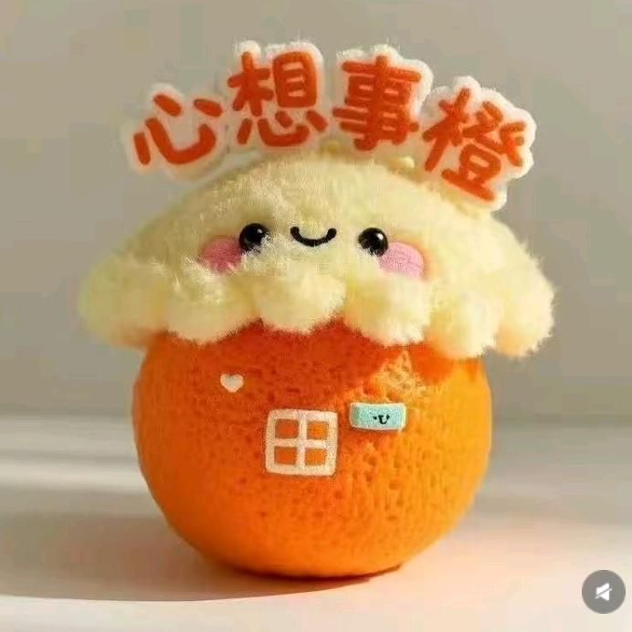 升学规划刘老师