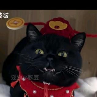 (*^ω^*)八方来财，日进斗金。