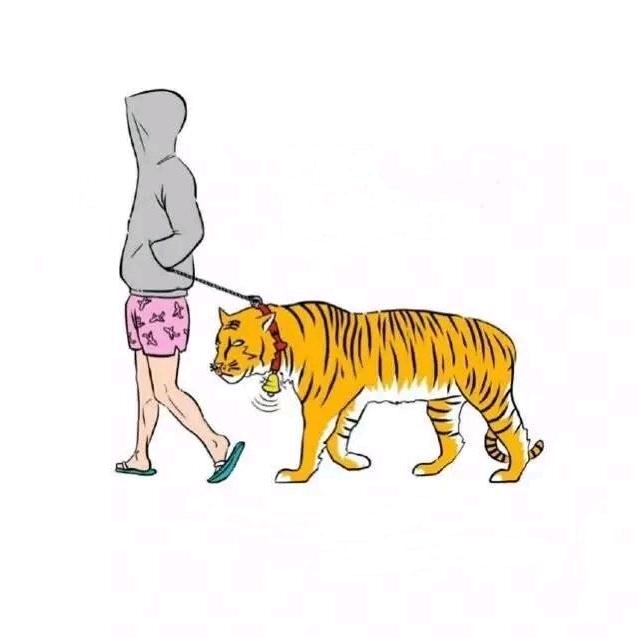 𓆡𓆝𓆟𓆜𓆞𓆝𓆟𓆜